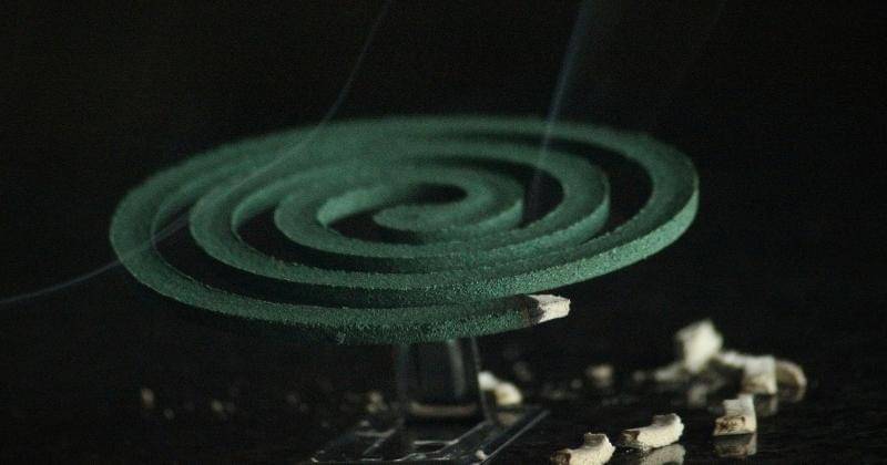 Unsplash/Ronald Langeveld